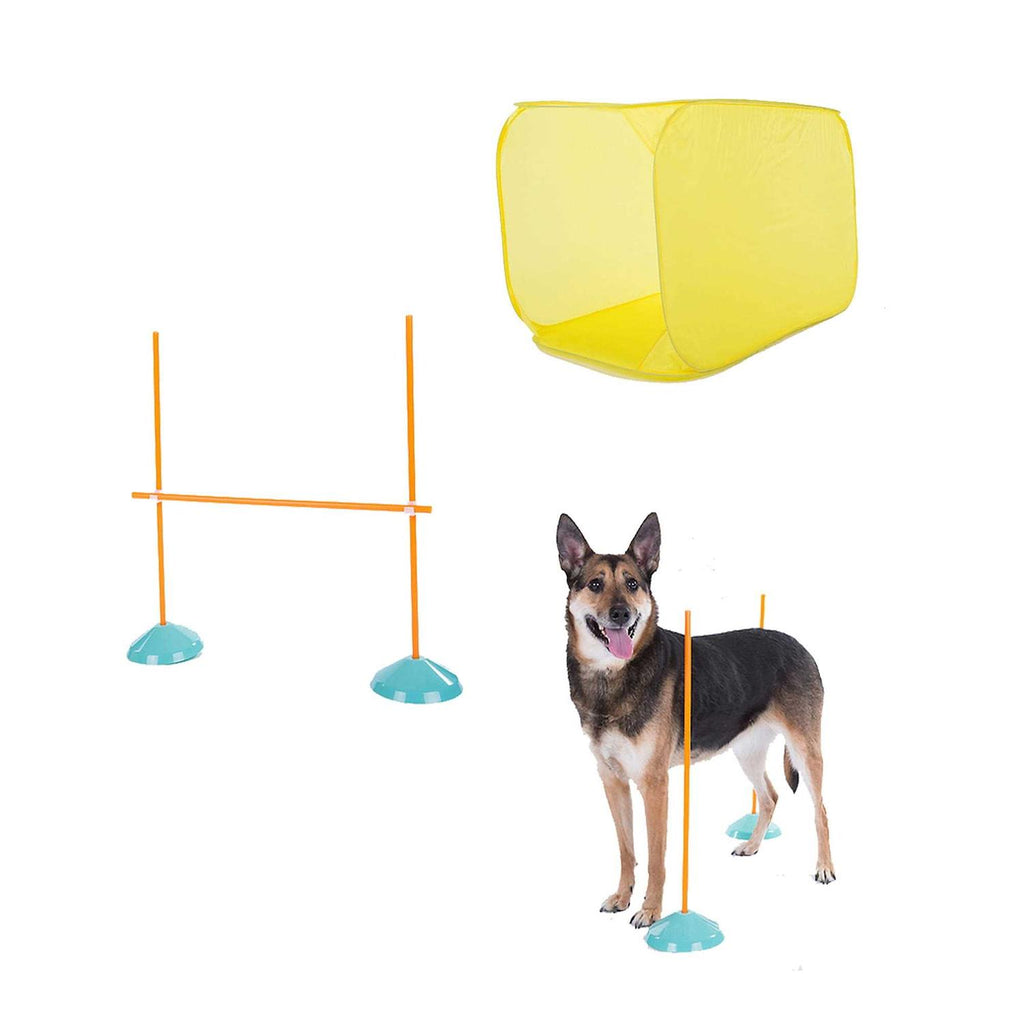 Indoor Dog Agility Kit P917228