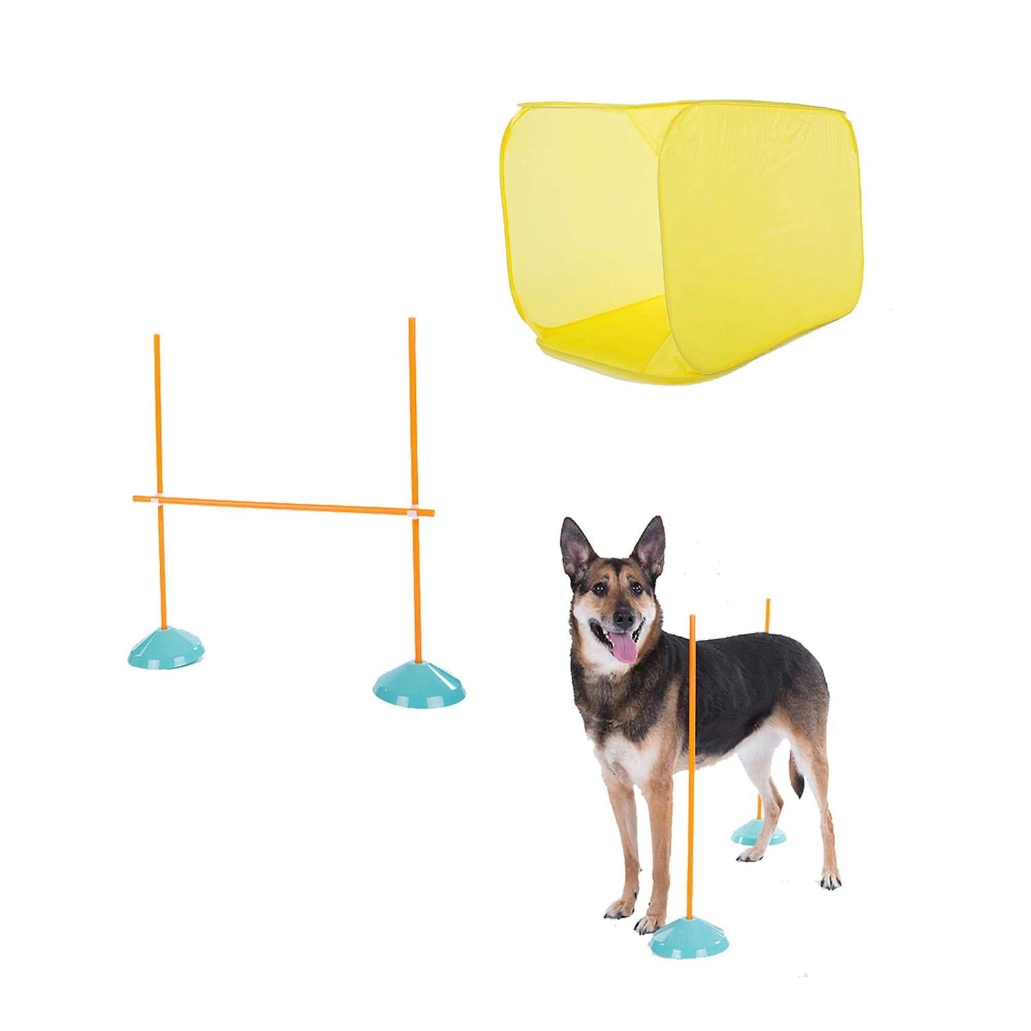 Indoor Dog Agility Kit P917228