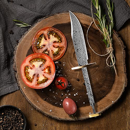 Stainless Steel Bowie Knife Blank Blade O80734