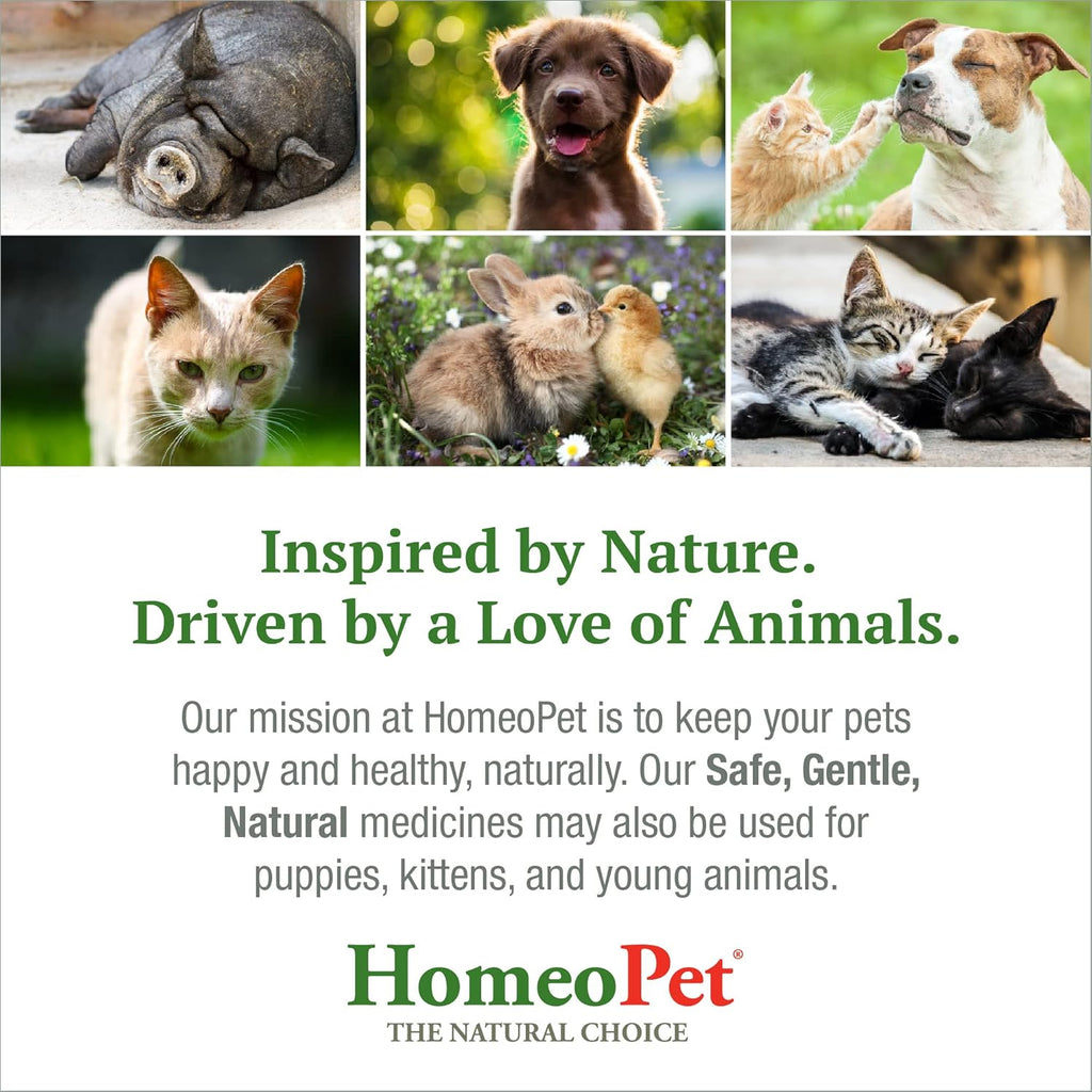 15 Milliliters Natural Cough Medicine for Pets D7413