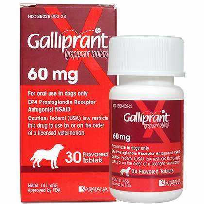 60 Mg Tab 30 Ct Dog Pet Supplies J5837