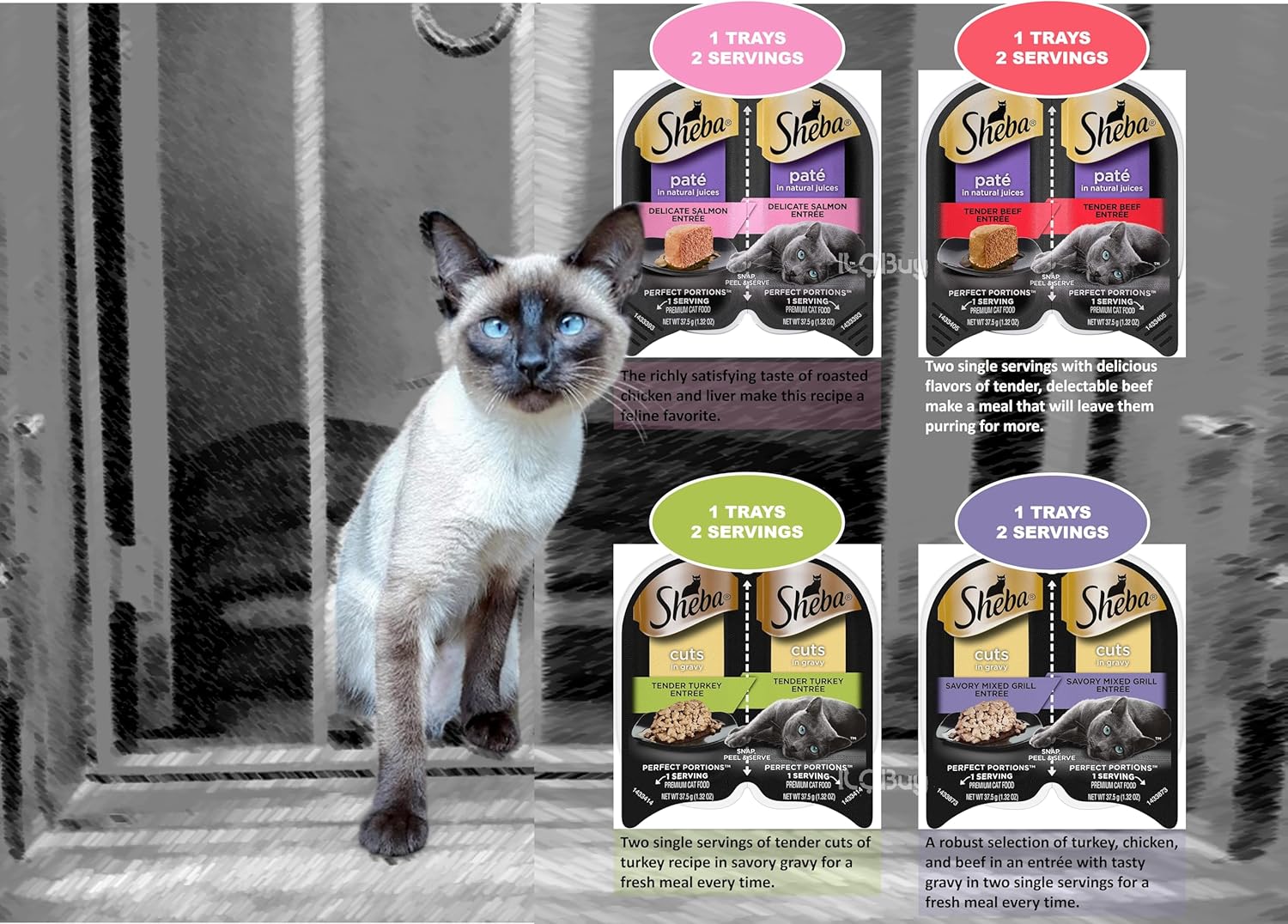 12 Trays 2.6 Oz Each Assorted Cuts in Gravy Pate in Natural Juice Cat Food F127257