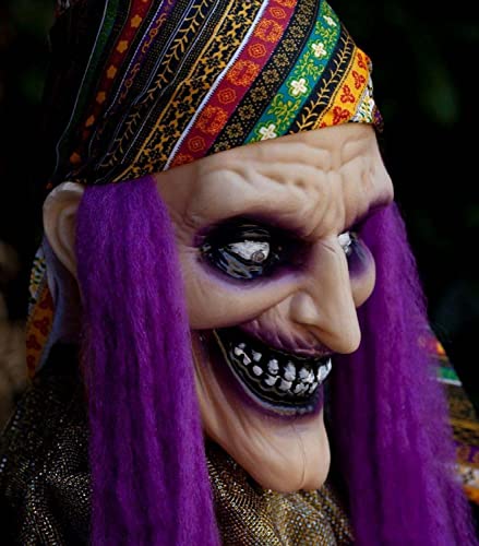 Animated Talking Fortune Teller Witch Figure Halloween Decor A29504