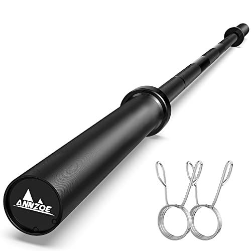 7-Foot Solid Iron Weighted Barbell F65310