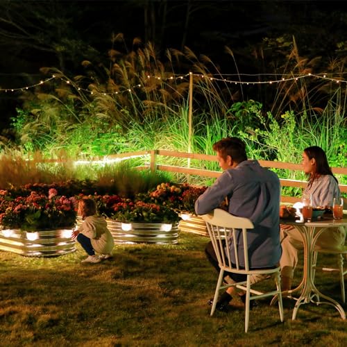 Galvanized Raised Garden Bed Planter Box with 2 Solar Lights E43321