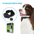 In-Ground Add-A-Dog Adds Unlimited Dogs to In-Ground Fence, Additional or Replacement Collar W65164