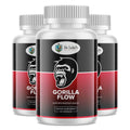 Prostate Support H995