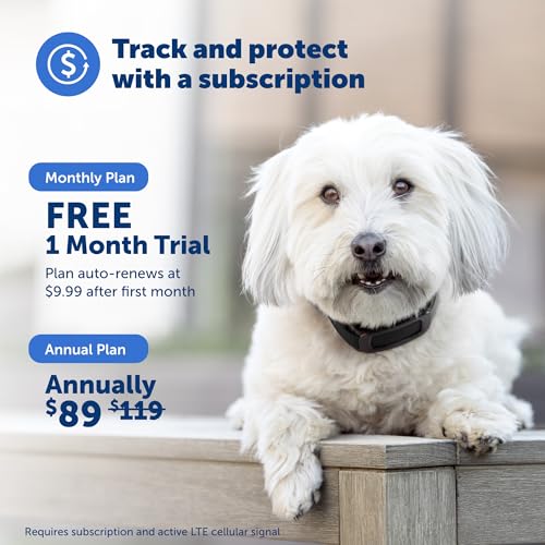 Wireless Dog Fence with GPS Tracking C772