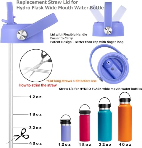 Black 2 Pack Replacement Lid for Wide Mouth Water Bottles V224009