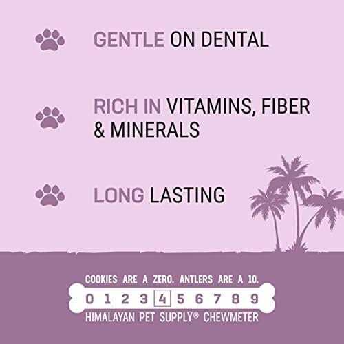 Coconut Bone Dog Chew Y496