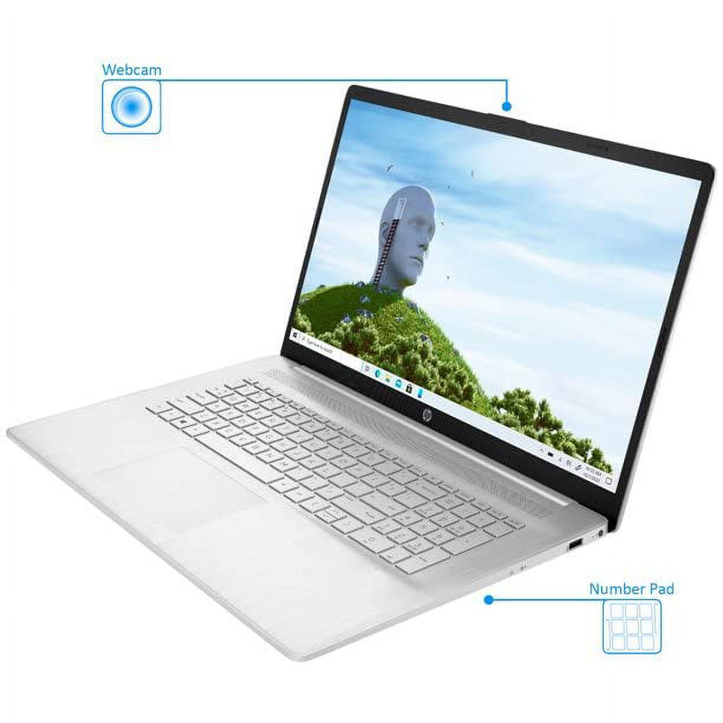 17.3 FHD IPS Laptop with Intel i7-1165G7 Processor 32GB DDR4 512GB NVMe SSD Natural Silver Windows 11 Pro T155224