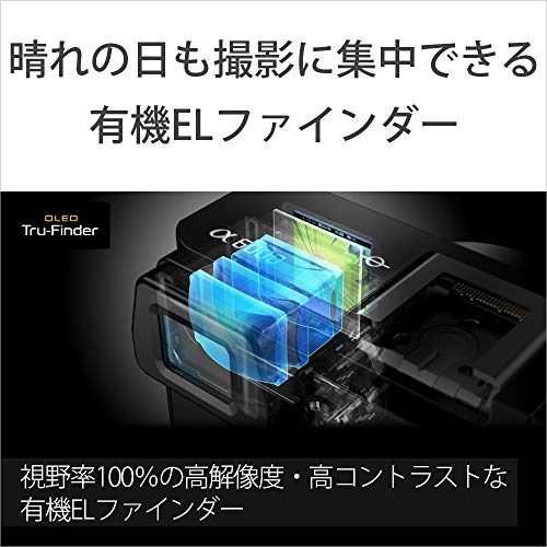 Black 24.3MP Mirrorless Digital Camera with 16-50mm Power Zoom Lens V55853