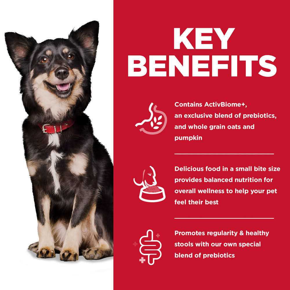 Small Bites Chicken Dry Dog Food J18361
