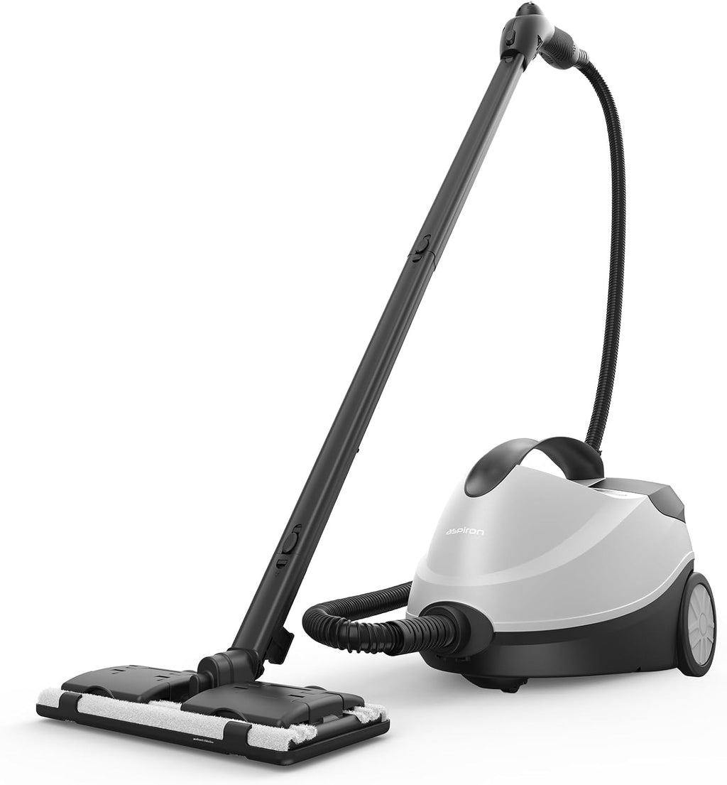 Steam Cleaner T746953