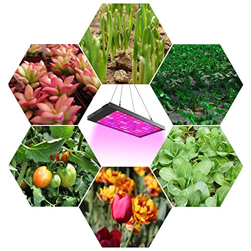 300W Full Spectrum Led Grow Light with 4 Dimmable Levels U2689