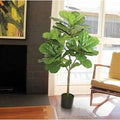 Large Leaf Fig Tall Floor Ficus Tree in Pot M3818