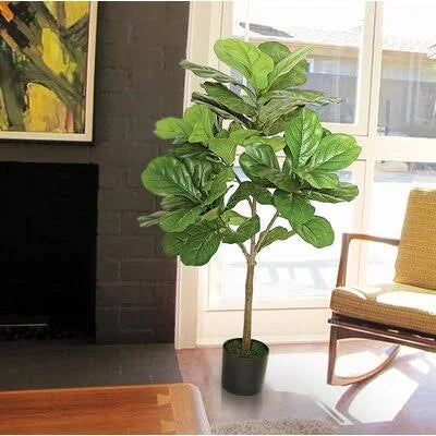 Large Leaf Fig Tall Floor Ficus Tree in Pot M3818