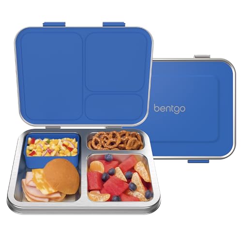 Stainless Steel Leak-Resistant Lunch Box, 3-Compartments with Silicone Container, Dishwasher Safe, BPA-Free (Fuchsia) O61056