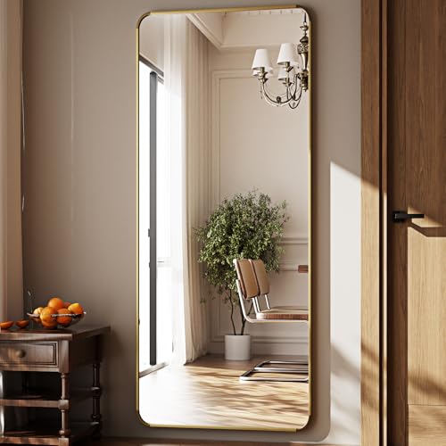56" x 21" Gold Aluminum Frame Full Length Floor Mirror Z48199