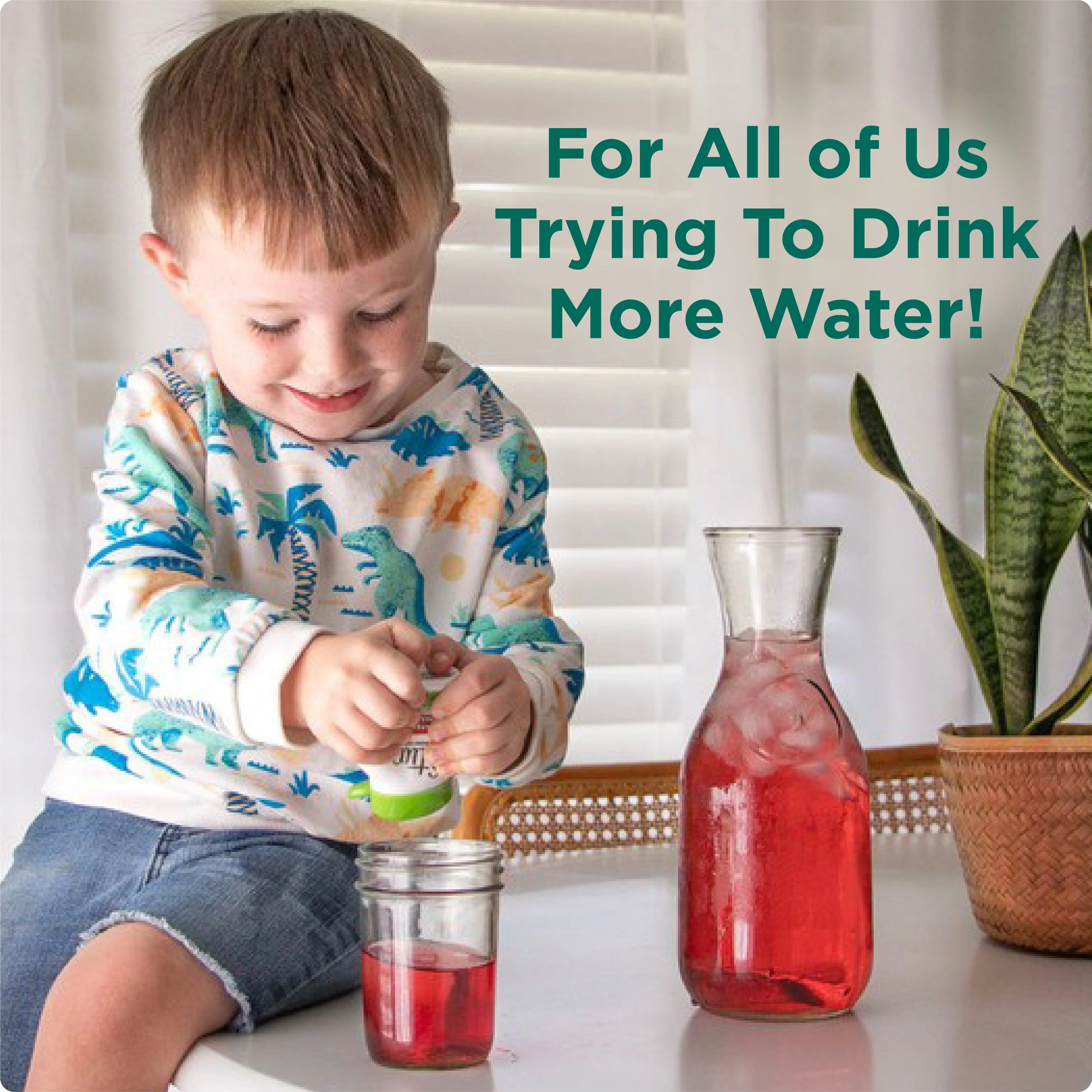 1.62 fl oz Liquid Water Enhancer Drink Mix (10 Pack) L525746