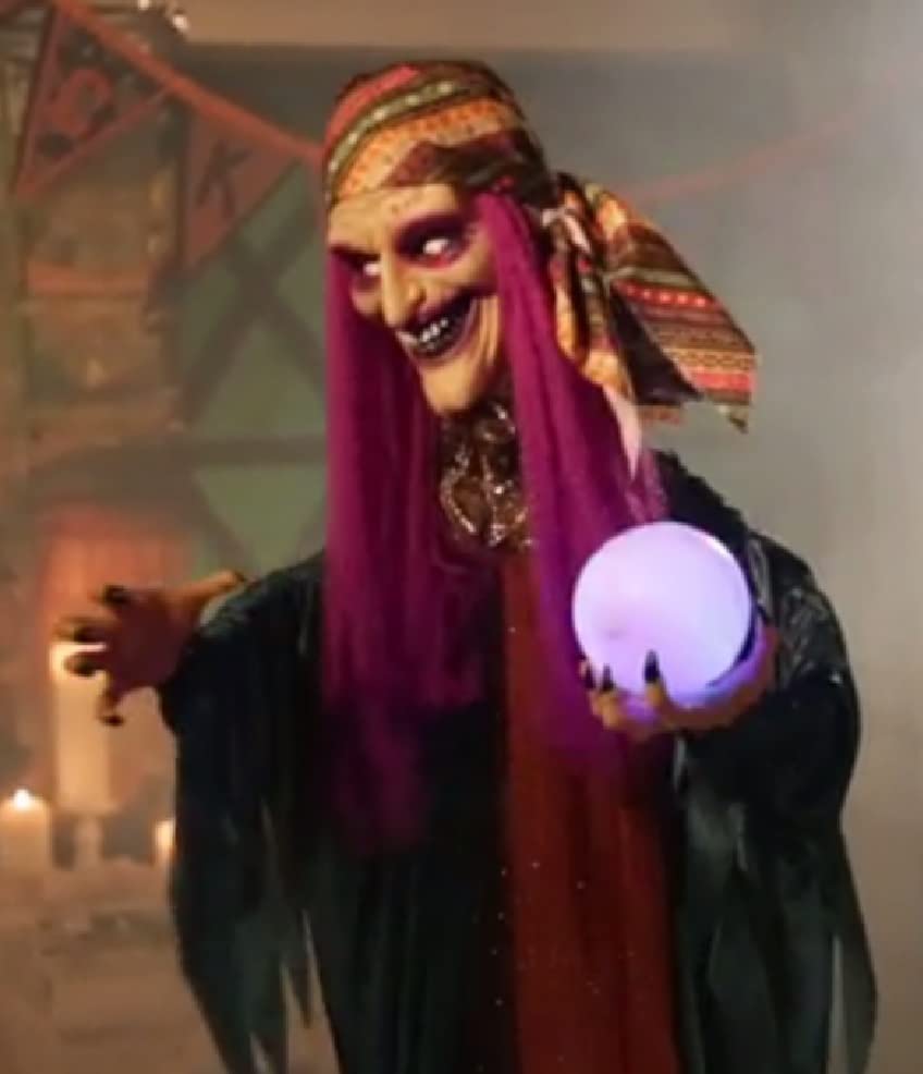 Animated Talking Fortune Teller Witch Figure Halloween Decor A29504
