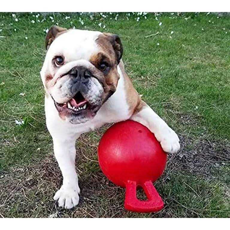 Tug N Toss Ball H15484