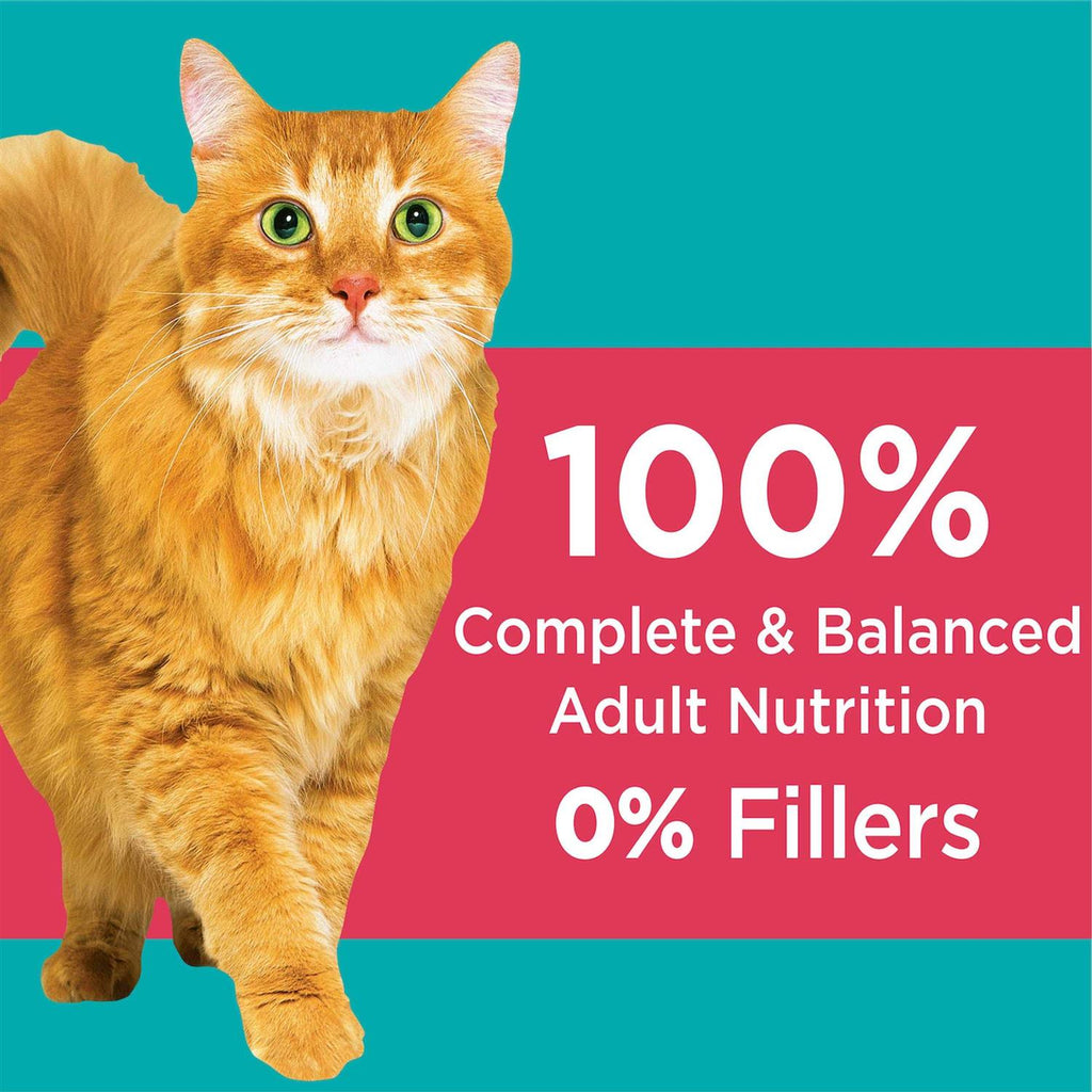 Salmon Adult Dry Cat Food X9994