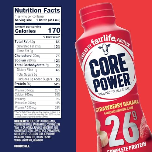 10 Pack Chocolate Vanilla Strawberry Protein Shake X646
