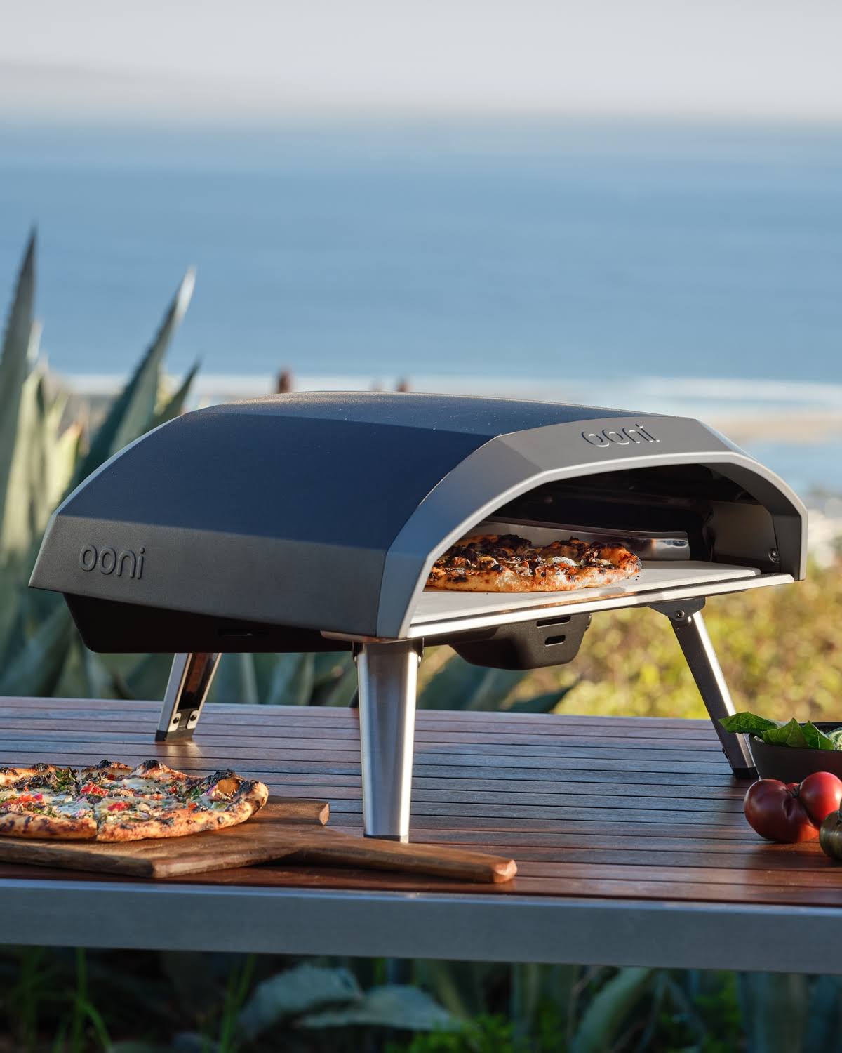 Gas-Powered Outdoor Pizza Oven G402498