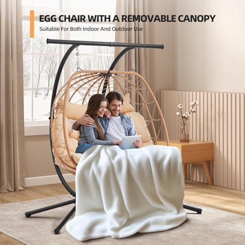 Oversized Double Egg Chair with Adjustable Canopy S12112