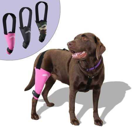 Dog & Cat Knee Brace X3093
