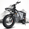2000W Electric Cargo Bike with 1123WH Removable Battery B6050
