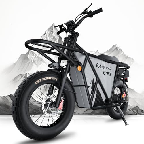 2000W Electric Cargo Bike with 1123WH Removable Battery B6050