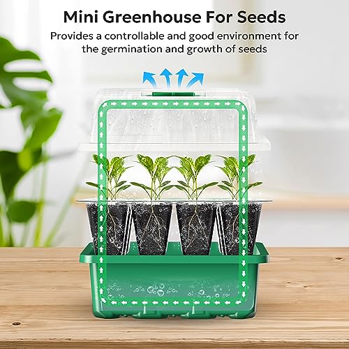 10 Packs Seed Starter Tray with Humidity Dome (120 Cells Total) B871226