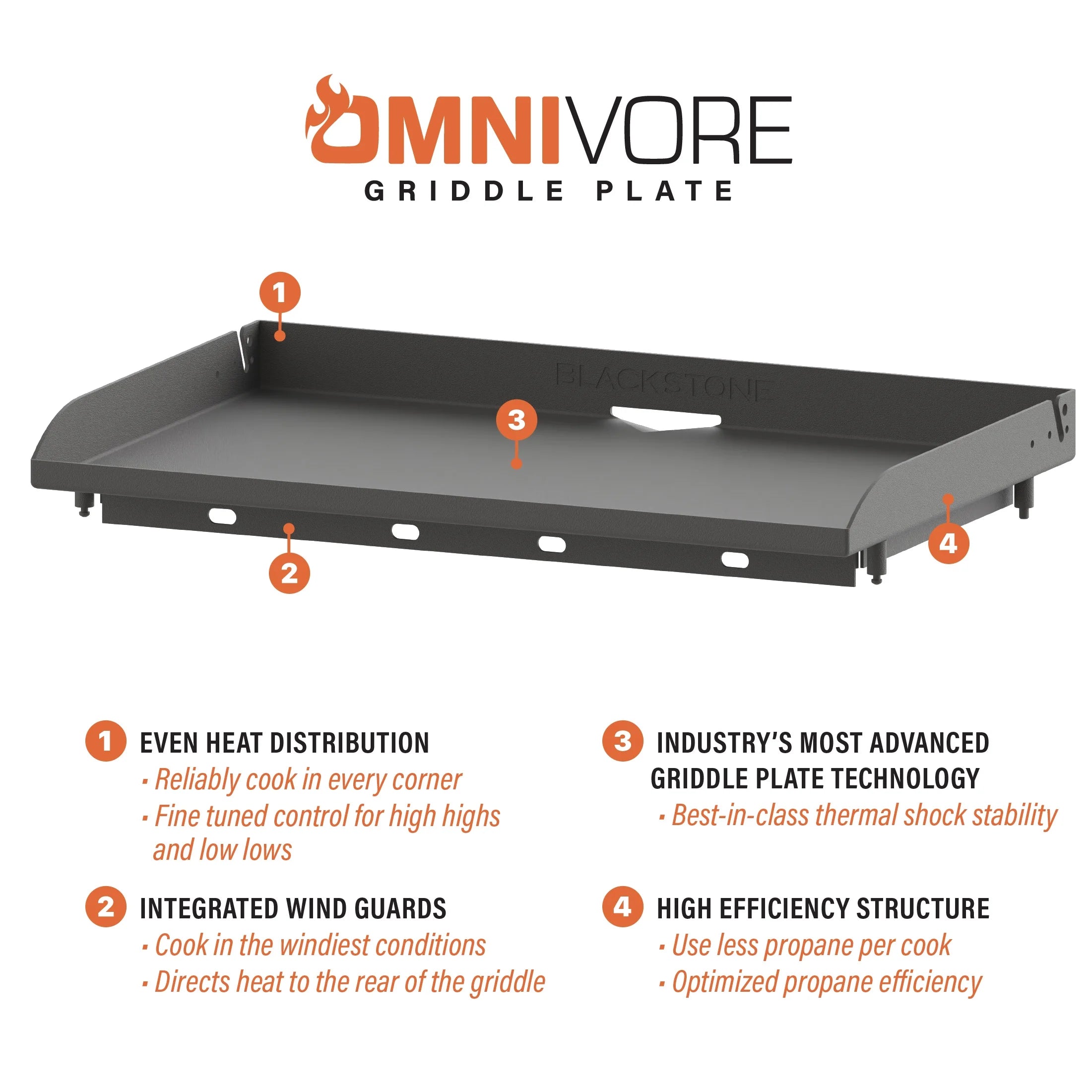 Black 2-Burner 28” Propane Griddle B404