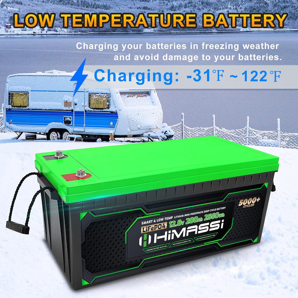 12V 100Ah LiFePO4 Battery 50A BMS Deep Cycle Battery Pack N651637