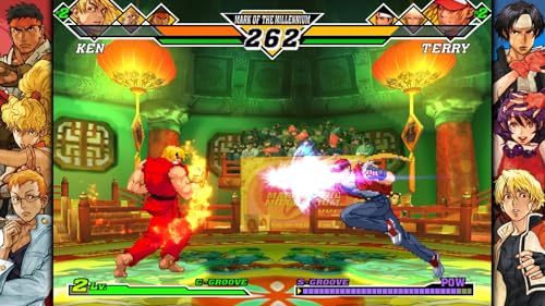 PlayStation 4 Fighting Collection J3337