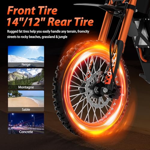 14"/12" Fat Tire 2000W Electric Dirt Bike with 48V 21AH Battery O77011