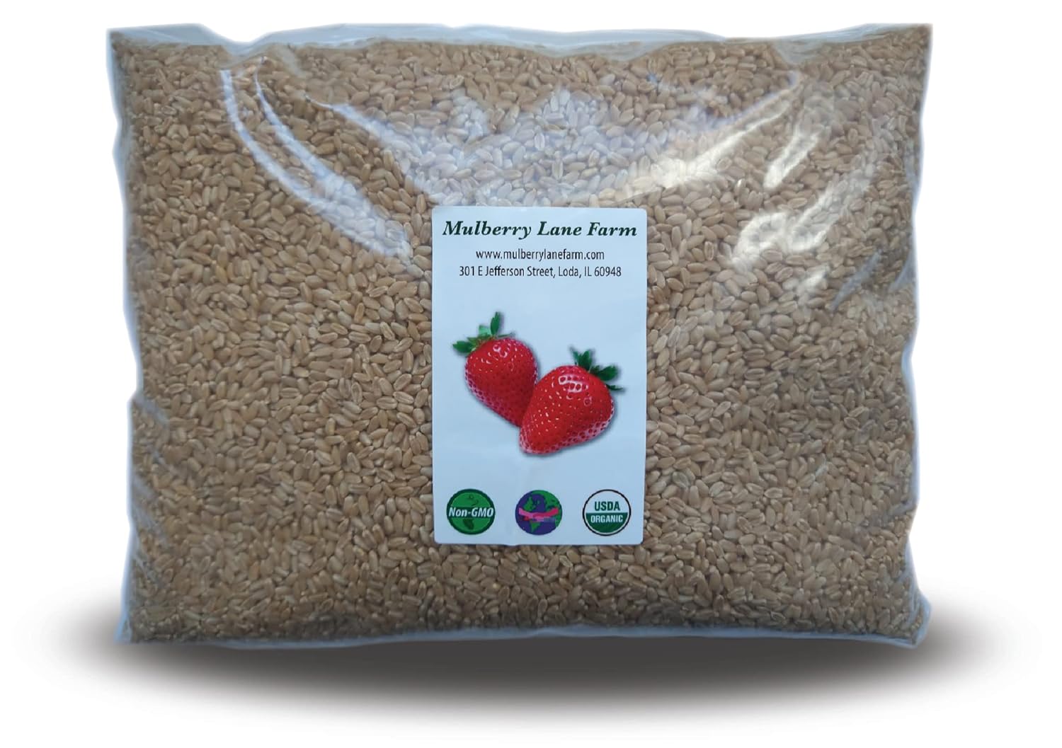 Hard White Wheat Berries 5 Pounds Organic Non-GMO Z9353