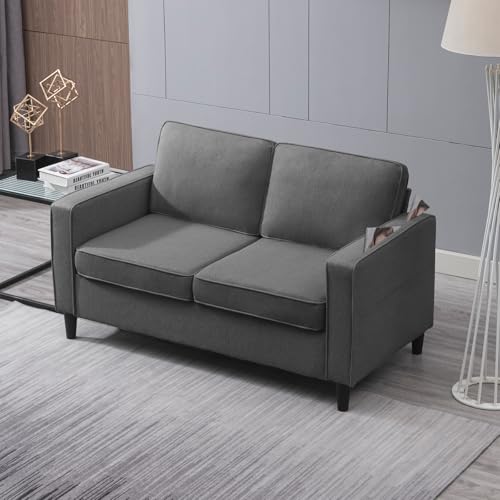 54" Loveseat Sofa Two Seats Modern Comfy Couch N72221