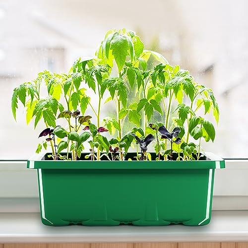 10 Packs Seed Starter Tray with Humidity Dome (120 Cells Total) B871226