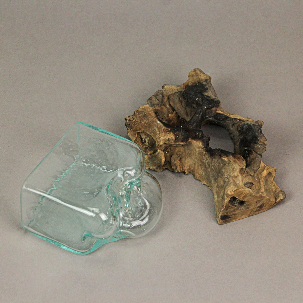 Rectangular Glass On Driftwood Decorative Bowl Q312970