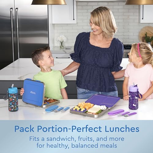 Stainless Steel Leak-Resistant Lunch Box, 3-Compartments with Silicone Container, Dishwasher Safe, BPA-Free (Fuchsia) O61056