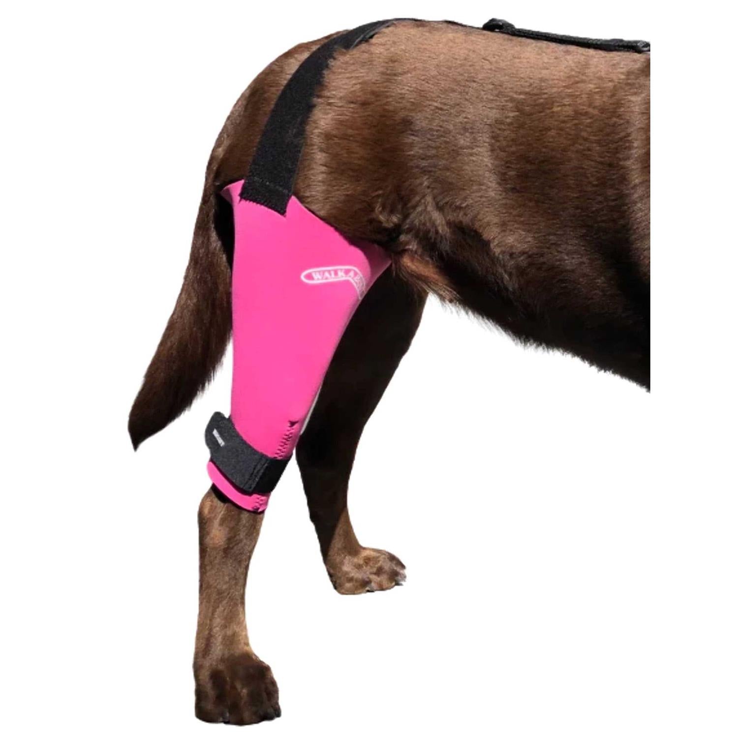 Dog & Cat Knee Brace X3093
