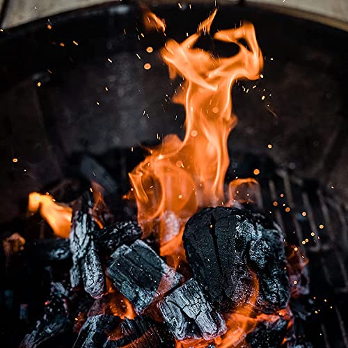Premium All Natural Hardwood Lump Charcoal L5720