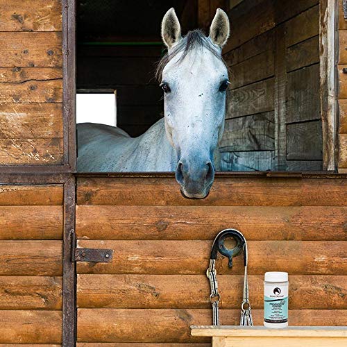 8 oz Equine Dry Shampoo Powder T66569