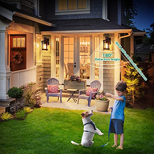 Bronze Dusk to Dawn Outdoor Wall Light Fixtures G36267