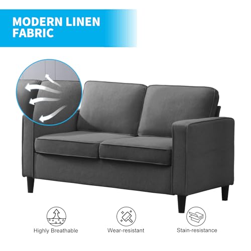 54" Loveseat Sofa Two Seats Modern Comfy Couch N72221
