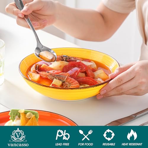 24 Piece Stoneware Dinnerware Set Z85293