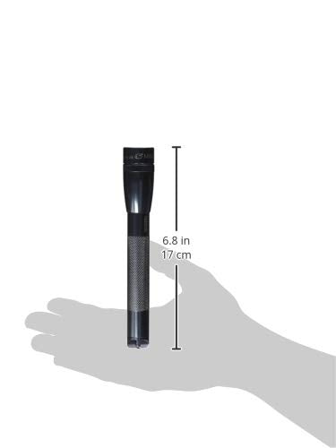 Mini PRO LED 2-Cell AA Flashlight Black X344701